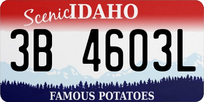 ID license plate 3B4603L