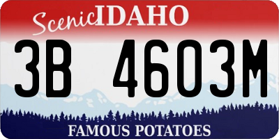 ID license plate 3B4603M