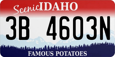 ID license plate 3B4603N
