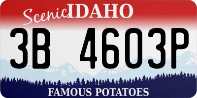 ID license plate 3B4603P