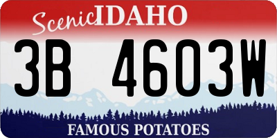 ID license plate 3B4603W