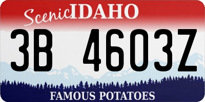 ID license plate 3B4603Z