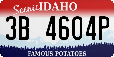 ID license plate 3B4604P