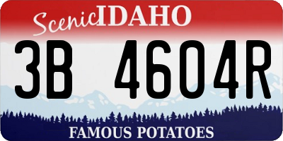 ID license plate 3B4604R