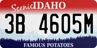ID license plate 3B4605M