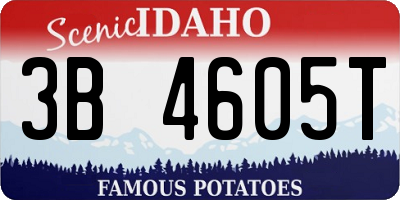 ID license plate 3B4605T