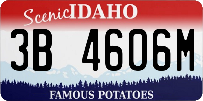 ID license plate 3B4606M