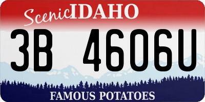 ID license plate 3B4606U