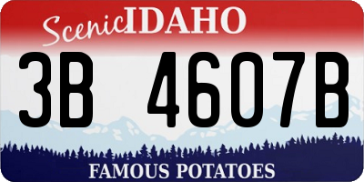 ID license plate 3B4607B