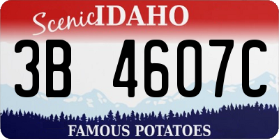 ID license plate 3B4607C