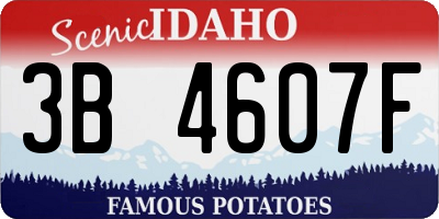 ID license plate 3B4607F