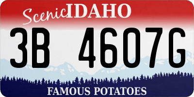ID license plate 3B4607G