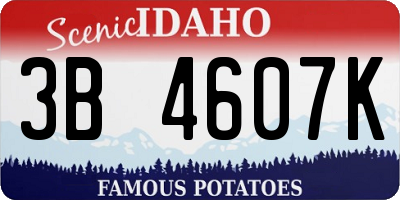 ID license plate 3B4607K