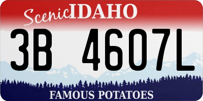 ID license plate 3B4607L