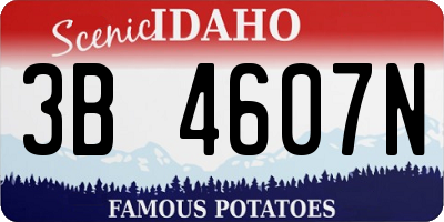 ID license plate 3B4607N