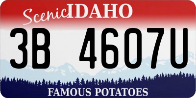 ID license plate 3B4607U