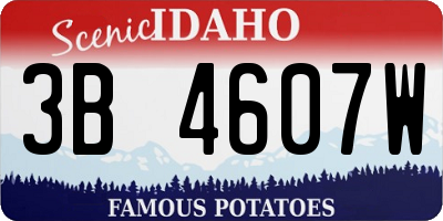 ID license plate 3B4607W
