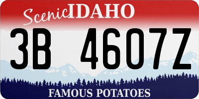 ID license plate 3B4607Z