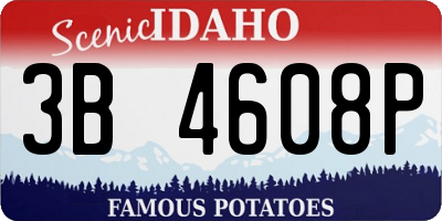 ID license plate 3B4608P