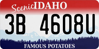 ID license plate 3B4608U