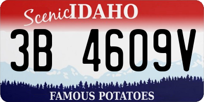ID license plate 3B4609V
