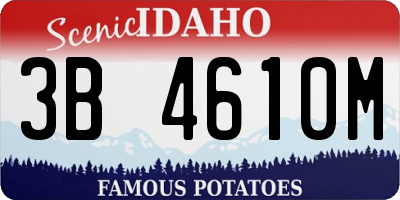 ID license plate 3B4610M