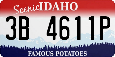 ID license plate 3B4611P