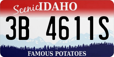 ID license plate 3B4611S