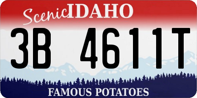 ID license plate 3B4611T