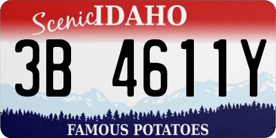ID license plate 3B4611Y