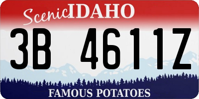 ID license plate 3B4611Z