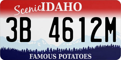 ID license plate 3B4612M
