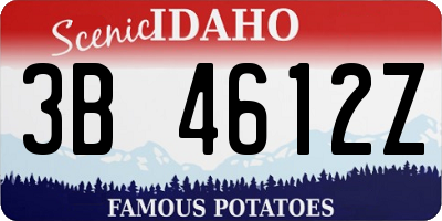 ID license plate 3B4612Z