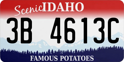 ID license plate 3B4613C