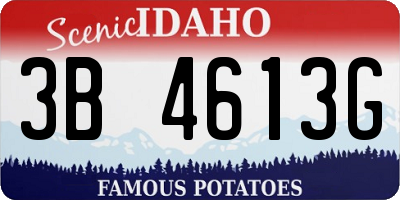ID license plate 3B4613G
