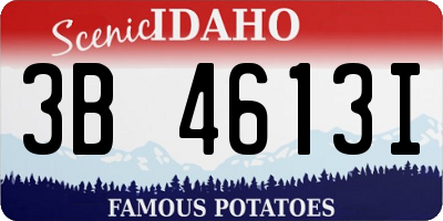 ID license plate 3B4613I