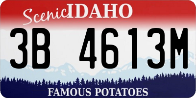 ID license plate 3B4613M