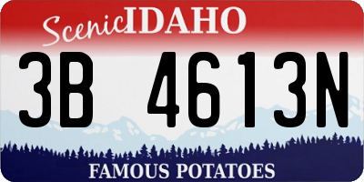 ID license plate 3B4613N