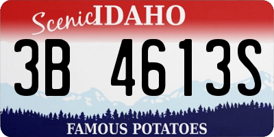 ID license plate 3B4613S