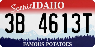 ID license plate 3B4613T