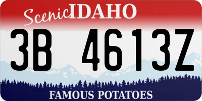ID license plate 3B4613Z