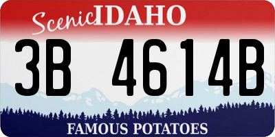 ID license plate 3B4614B