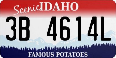 ID license plate 3B4614L