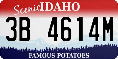 ID license plate 3B4614M