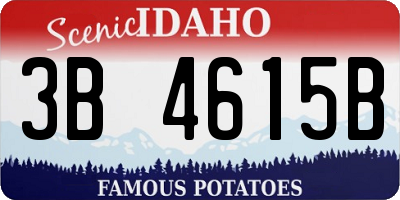ID license plate 3B4615B