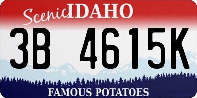 ID license plate 3B4615K