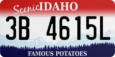 ID license plate 3B4615L