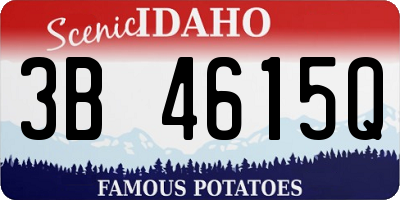 ID license plate 3B4615Q