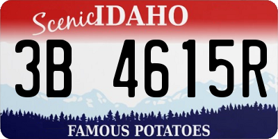 ID license plate 3B4615R