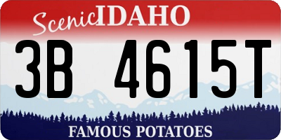 ID license plate 3B4615T